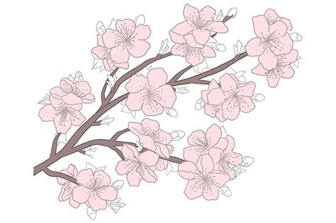 Share more than 77 cherry blossom tree sketch latest - seven.edu.vn