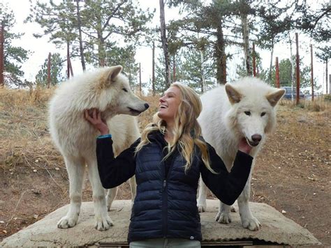 Colorado Wolf and Wildlife Center - Divide, Colorado - @madeline.sparks (Instagram) - O… | Wild ...