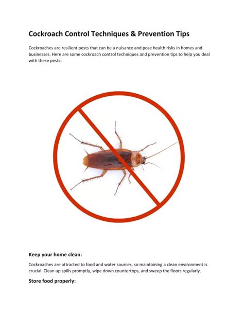 PPT - Cockroach Control Techniques & Prevention Tips PowerPoint Presentation - ID:12156960