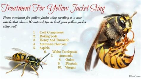 10 Tips Of Home Treatment For Yellow Jacket Sting Swelling