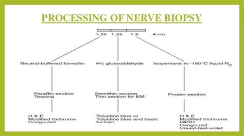 Interpretation of nerve biopsy