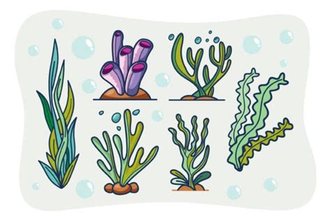 Seaweeds Sea Underwater Plants Ocean Cor Graphic by onoborgol · Creative Fabrica