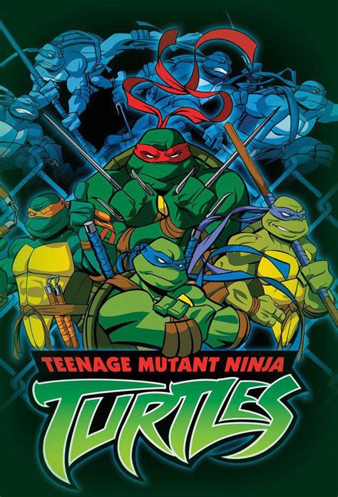 You think we’ll ever get TMNT 2003 as a complete series on DVD? : r/TMNT