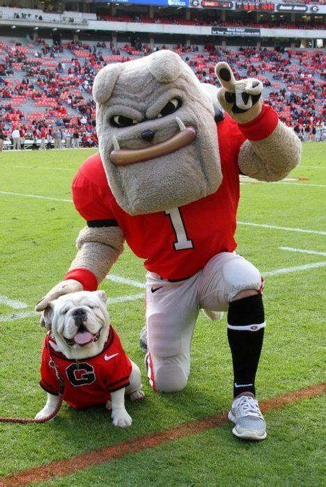 Georgia Bulldogs 2018 NCAA Football Preview – MEGALOCKS