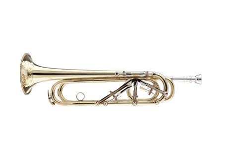 Trumpets: Key Trumpet in Eb or E | Thein Brass