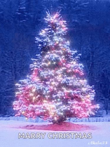 Christmas Christmas Tree Merry Christmas | GIF | PrimoGIF