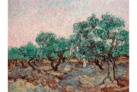 Van Gogh’s Olive Trees – ART IS ALIVE