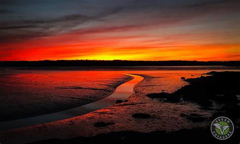 Sunset Point Campground, Harrington, Maine - Vegan Voyagers