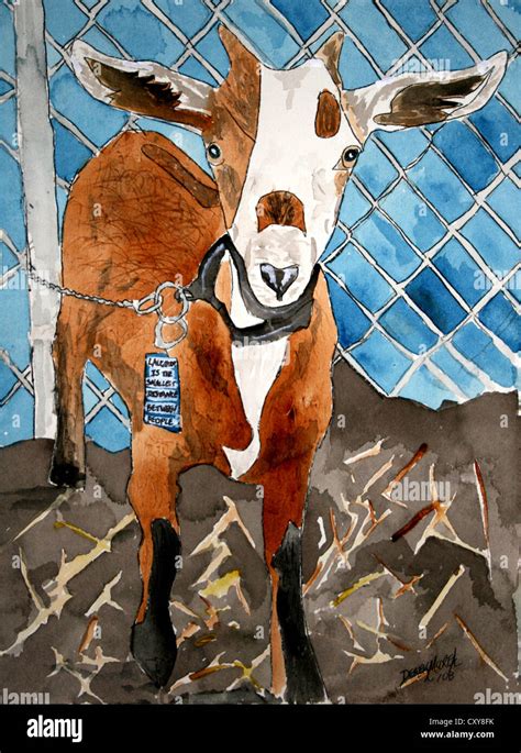 Paintings of farm animals pictures of goats hi-res stock photography and images - Alamy