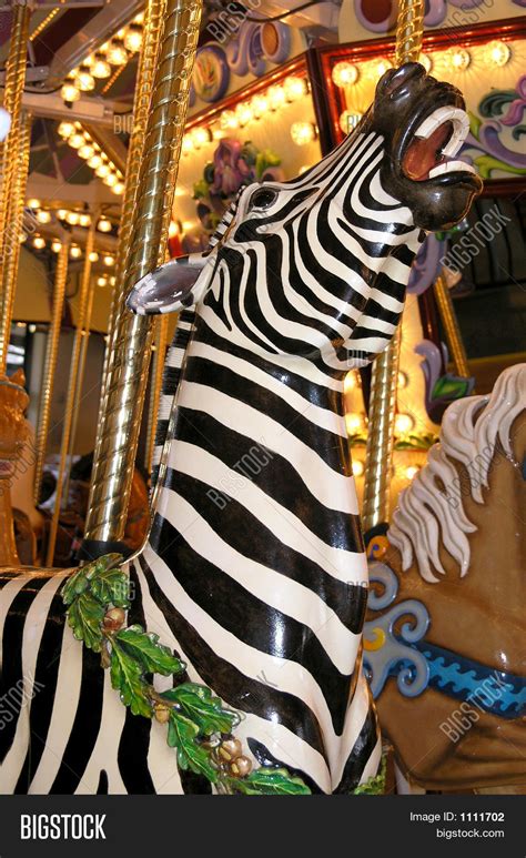 Carousel Zebra Image & Photo (Free Trial) | Bigstock