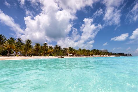 Isla Mujeres Beaches Have Been Sargassum-Free Since July - Cancun Sun