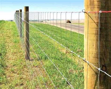 Seven Fencing Tips for Cattle | Ag Industry News - Farm and Livestock ...