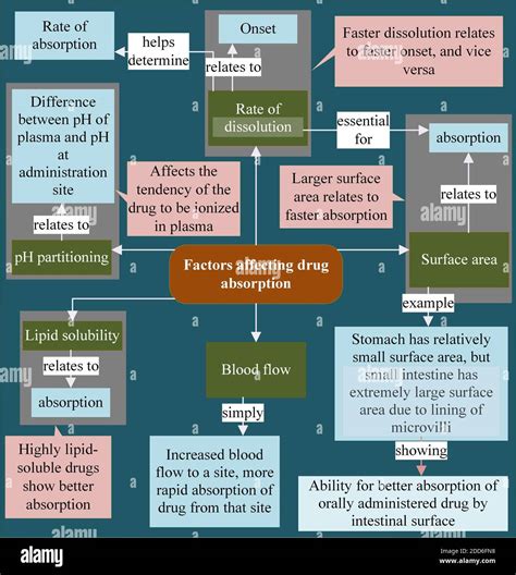 Factors affecting drug absorption Stock Photo - Alamy