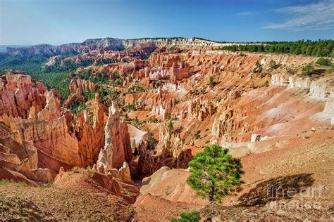 Bryce canyon sunrise point Photograph by Delphimages Photo Creations - Pixels