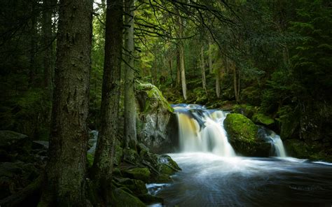 Download wallpaper 3840x2400 waterfall, stones, moss, trees, forest 4k ultra hd 16:10 hd background