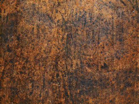 11723704 - old leather texture - Muck Monkeys