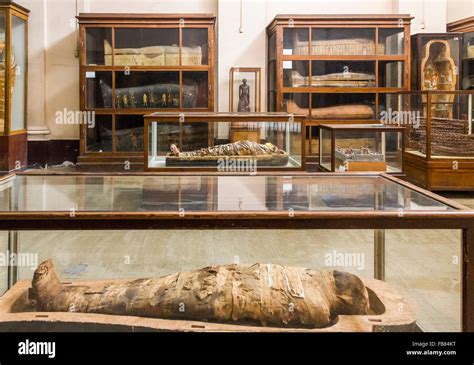 mummy room, the Egyptian Museum, Cairo, Egypt Stock Photo - Alamy