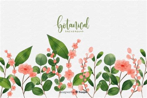 Free Vector | Watercolor botanical background