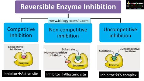 Reversible Enzyme Inhibition: Competitive, Non Competitive and Uncompetitive Inhibition with ...