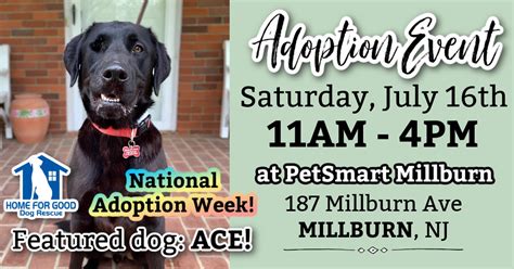 Adoption Event at PetSmart Millburn ~ 7.16.22 - Home For Good Dogs | NJ Rescue