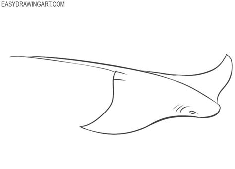 How to Draw a Stingray | Easy Drawing Art | Ocean drawing, Stingray tattoo, Stingray