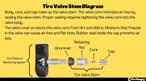 How To Tighten a Tire Valve Stem | Tire Hungry