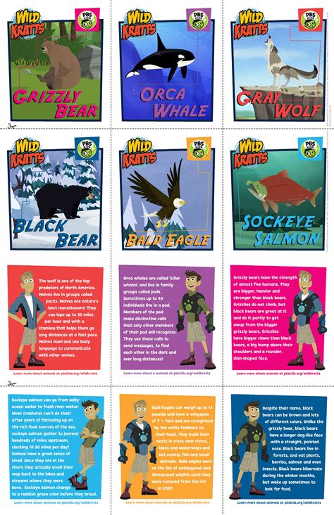 Wild kratts curriculum printable worksheets perfect for homeschool ...