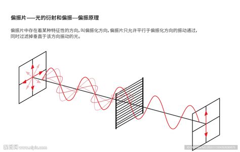 偏振原理偏振片光衍射设计图__学习用品_生活百科_设计图库_昵图网