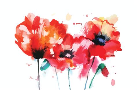 Watercolor poppy flower | Custom-Designed Illustrations ~ Creative Market