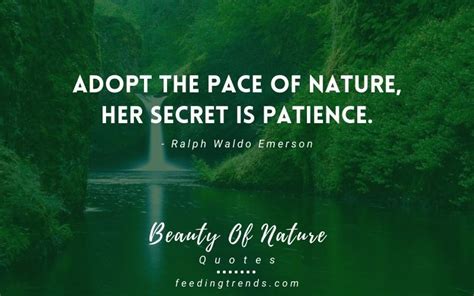 Beautiful Nature Quotes