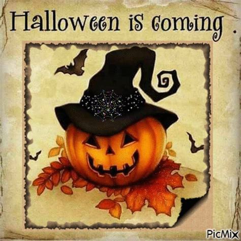 Best "Halloween Is Coming" Gifs And Quotes | Halloween quotes funny, Halloween quotes, Halloween gif