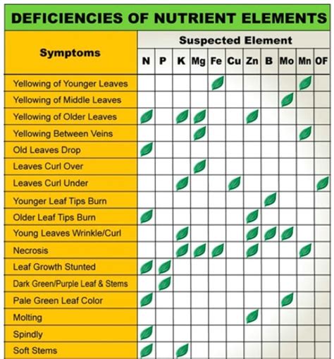 Plant Nutrient Deficiency Leaf Illustrations and Charts Reference Guide | Big Picture Agriculture