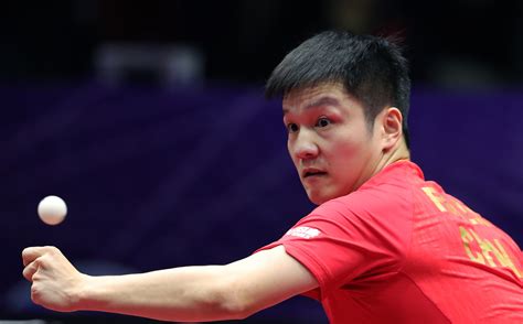 World Cup champion Fan Zhendong close to world championships berth - Chinadaily.com.cn