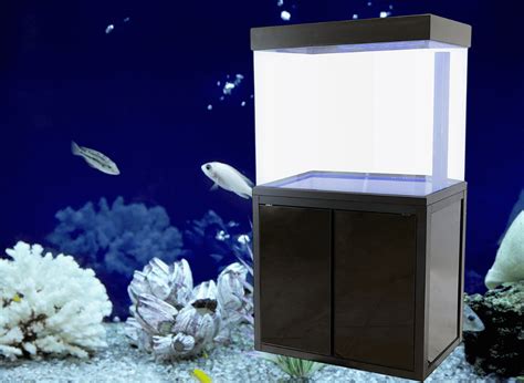 Unleash the Aquatic Wonders with a 50 Gallon Fish Tank