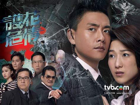 Witness Insecurity 護花危情 - Tvb Drama