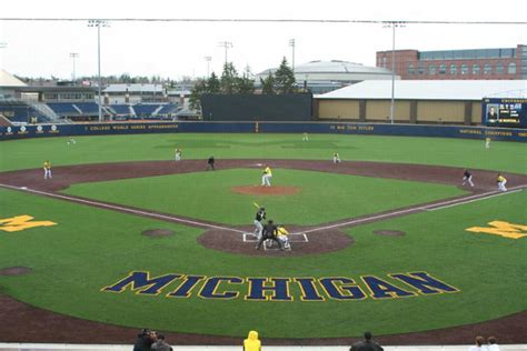 Michigan wolverines