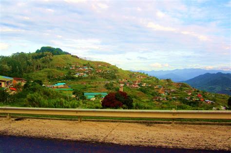 Jo33's Garden: Kundasang, Sabah