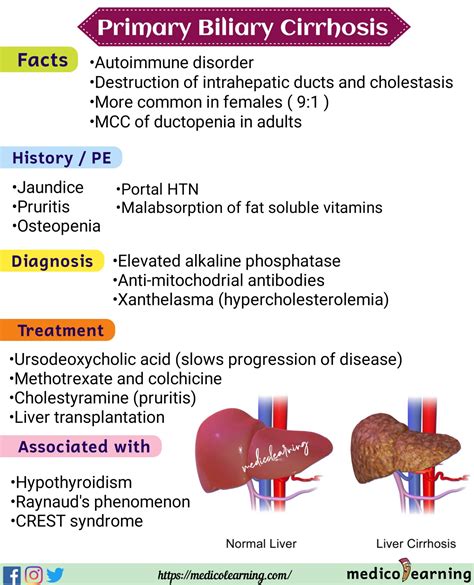 Primary Biliary Cirrhosis Rash