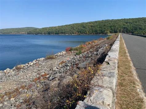 10 Best Hikes and Trails in Quabbin Reservoir | AllTrails