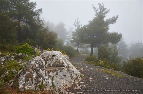 Elevation map of Arcadia, Greece - Topographic Map - Altitude Map