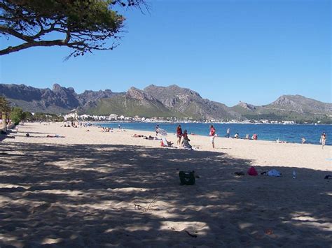 Beach in Puerto Pollensa - Things To Do In Puerto Pollensa - Mallorca