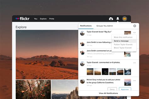 Introducing the New Flickr Notifications Center and Settings | Flickr Blog