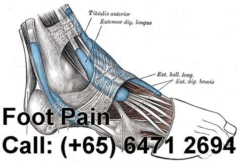 Foot Problems | Orthopaedic Clinic Singapore