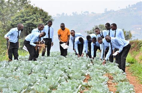 Scientists breed nutritious indigenous vegetables - Uganda