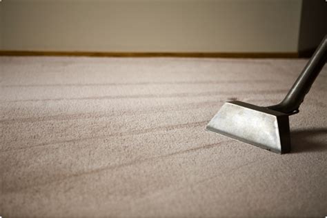 Carpet Cleaning Leads [100% Exclusive Calls] - Pay Per Call