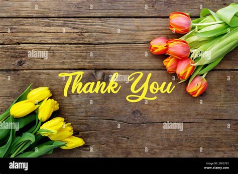 Thank You Message, Colorful tulips on wooden background. Spring flower ...