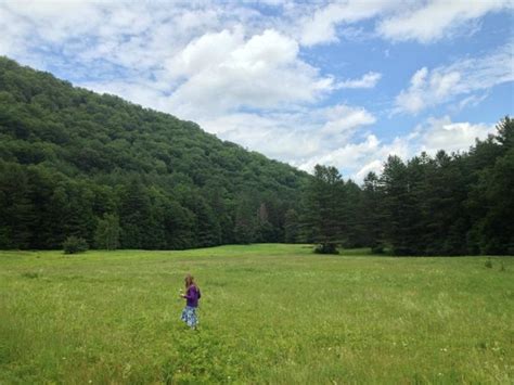 Cabin 7 - Picture of Mohawk Trail State Forest, Charlemont - TripAdvisor