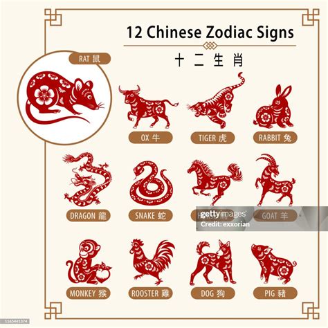 12 Chinese Zodiac Signs High-Res Vector Graphic - Getty Images