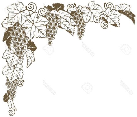 Grape Vine Border Vector at Vectorified.com | Collection of Grape Vine ...