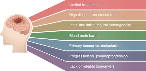 Potential biomarkers and challenges in glioma diagnosis, therapy and prognosis | BMJ Neurology Open